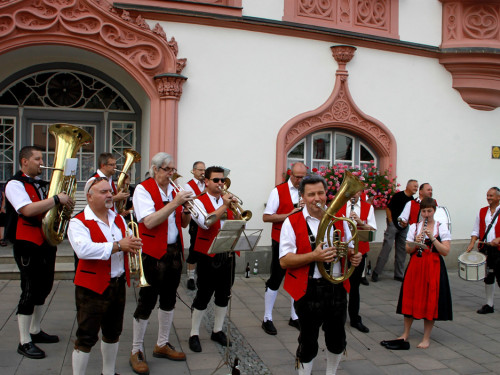 Hofer Volksfest 2014 Volksfestumzug – Foto 28
