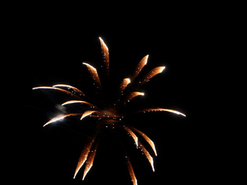 Hofer Volksfest 2014 Eröffnungsfeuerwerk – Foto 3