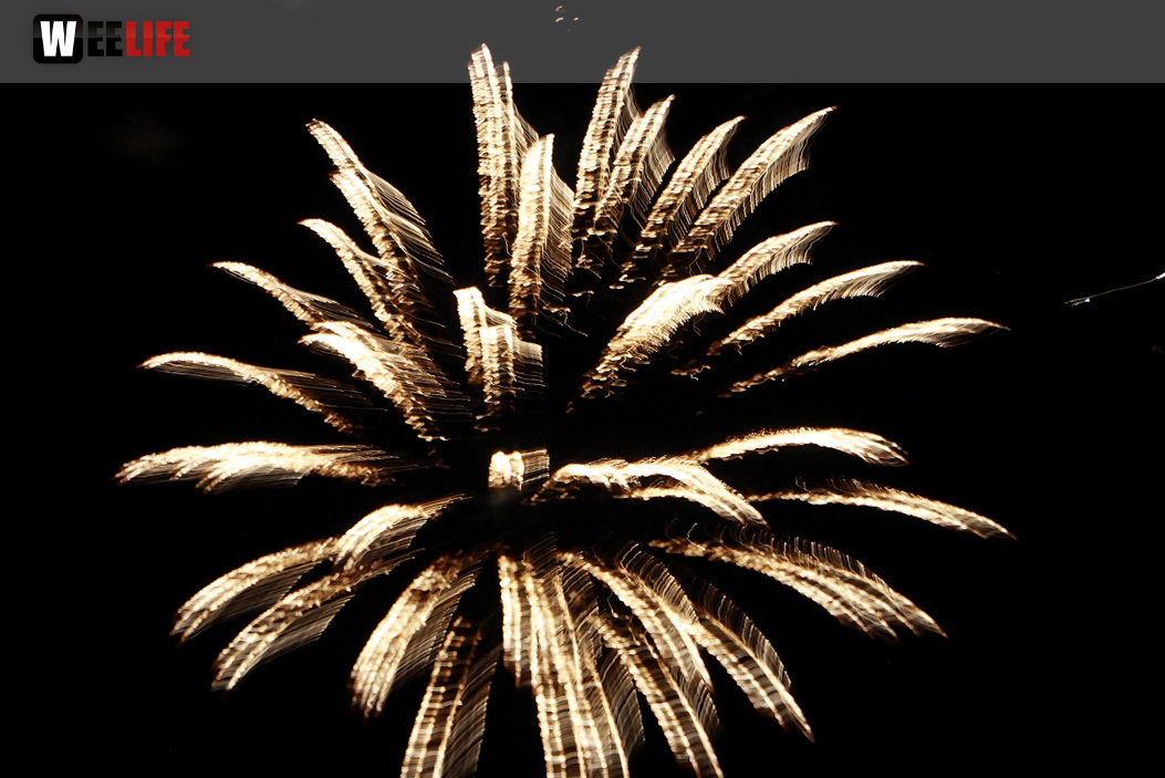 Hofer Volksfest 2014 Eröffnungsfeuerwerk