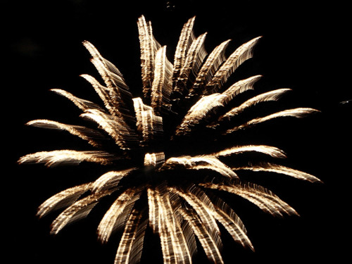 Hofer Volksfest 2014 Eröffnungsfeuerwerk – Foto 9