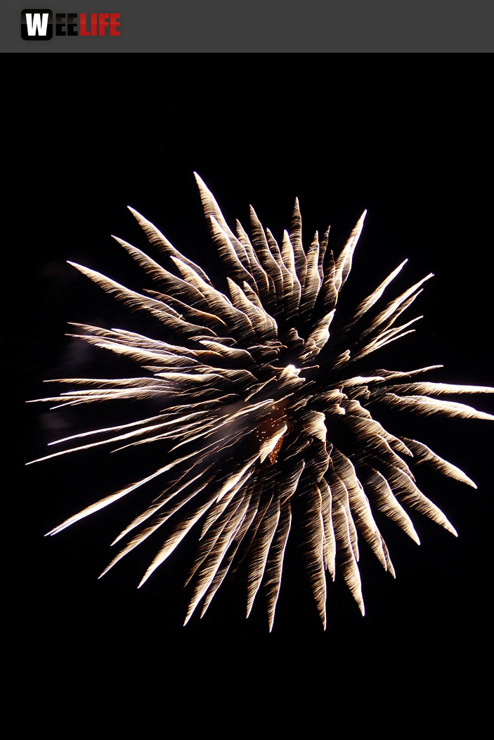 Hofer Volksfest 2014 Eröffnungsfeuerwerk