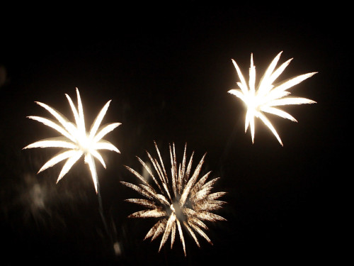 Hofer Volksfest 2014 Eröffnungsfeuerwerk – Foto 22
