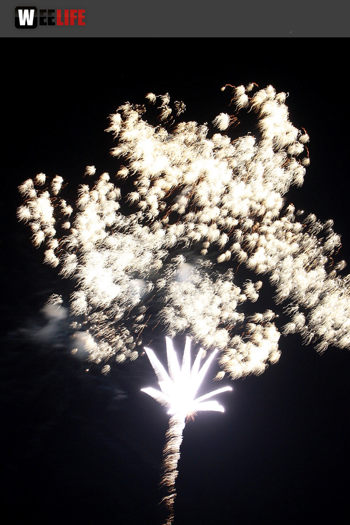 Hofer Volksfest 2014 Eröffnungsfeuerwerk