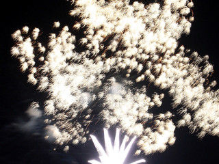 Foto 94378 im Album