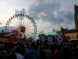 Foto 94614 im Album