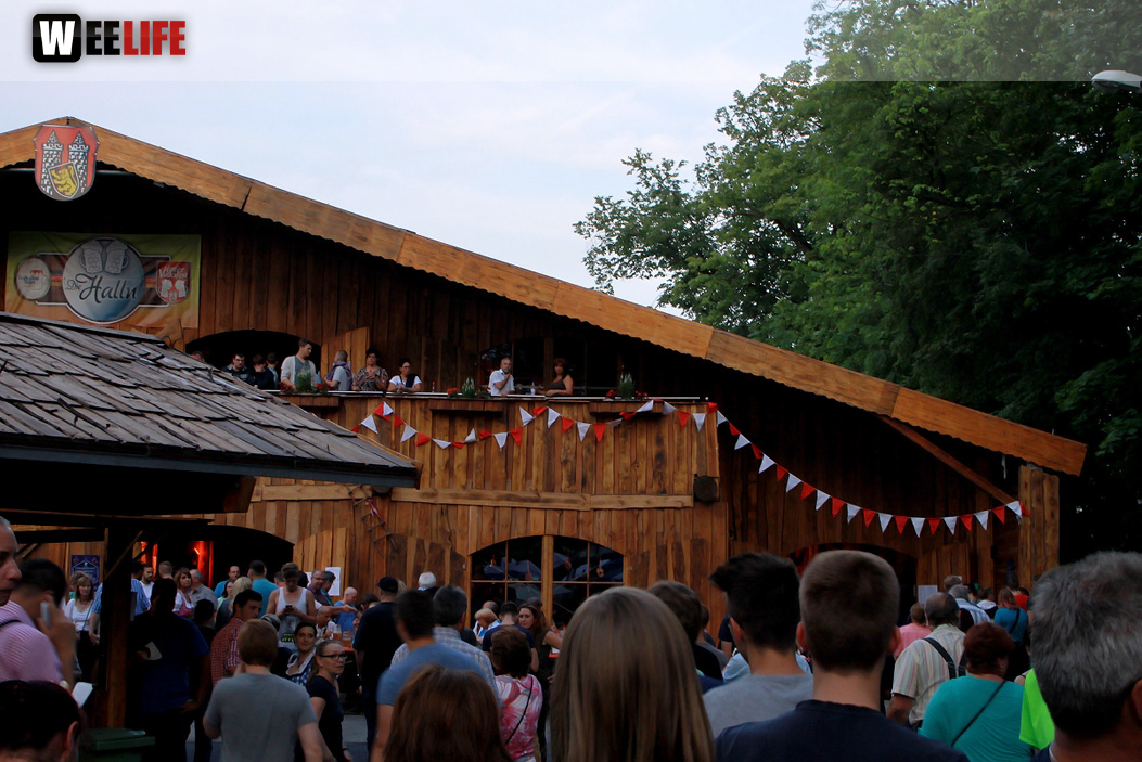 Hofer Volksfest 2014 Tag der Landjugend mit Aischzeit