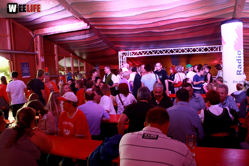 Hofer Volksfest 2014 ProHof Verleihung Umzug