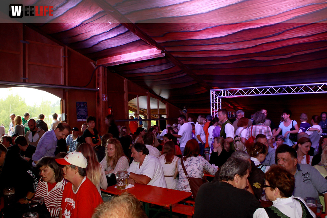 Hofer Volksfest 2014 ProHof Verleihung Umzug