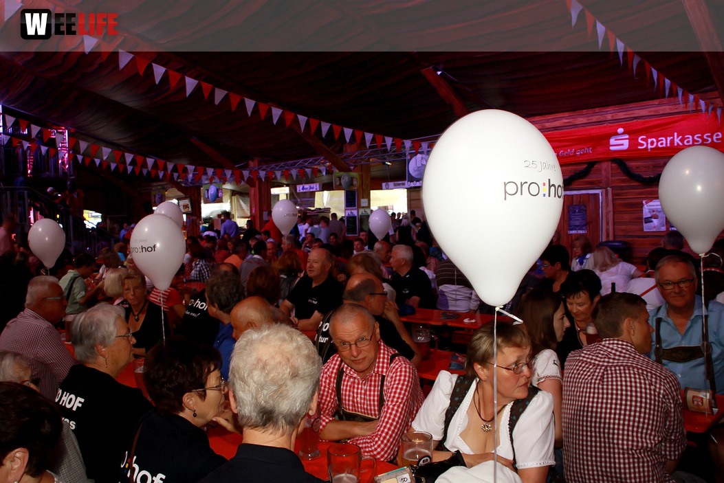 Hofer Volksfest 2014 ProHof Verleihung Umzug