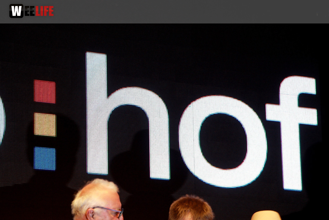 Hofer Volksfest 2014 ProHof Verleihung Umzug