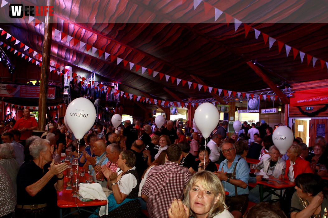 Hofer Volksfest 2014 ProHof Verleihung Umzug