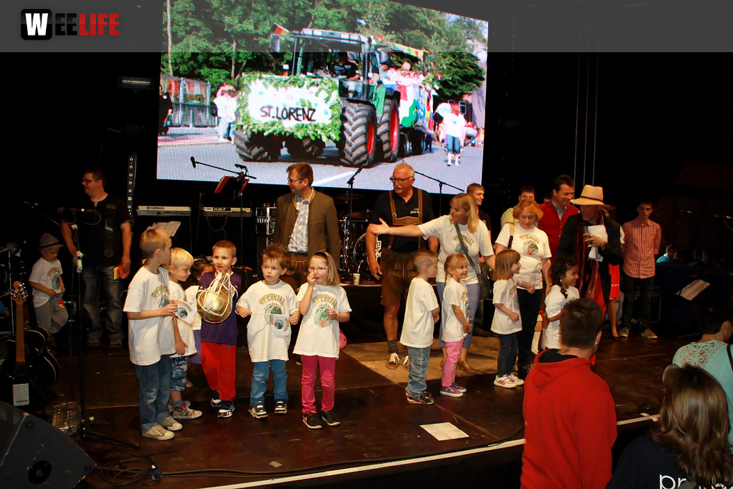 Hofer Volksfest 2014 ProHof Verleihung Umzug