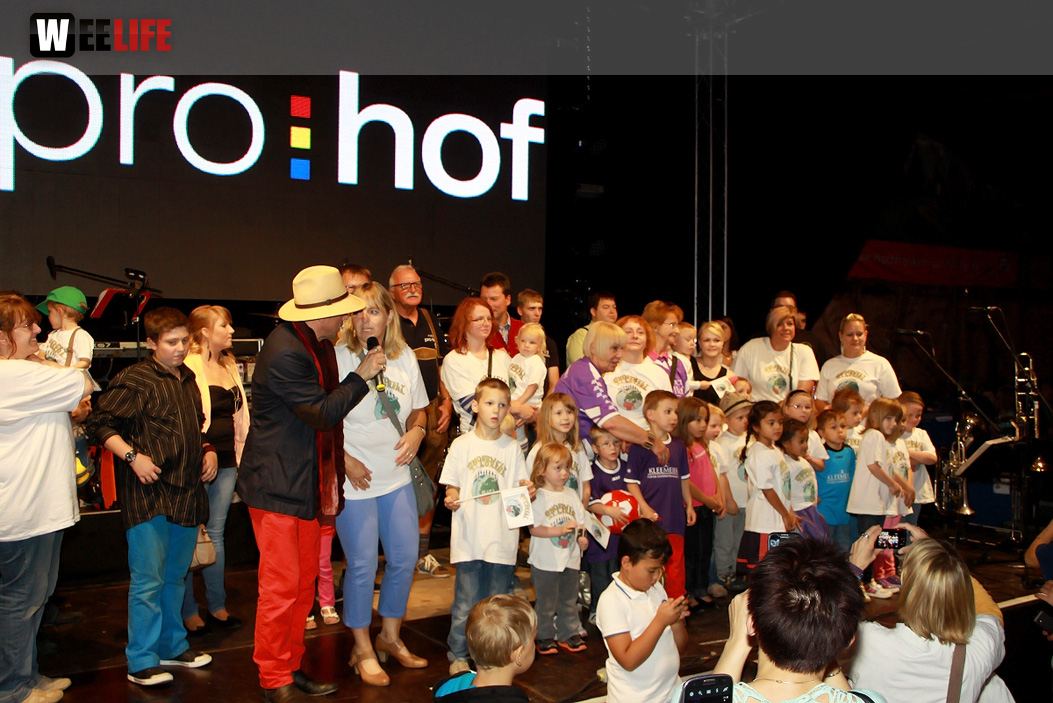 Hofer Volksfest 2014 ProHof Verleihung Umzug