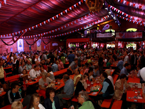 Hofer Volksfest 2014 ProHof Verleihung Umzug – Foto 57