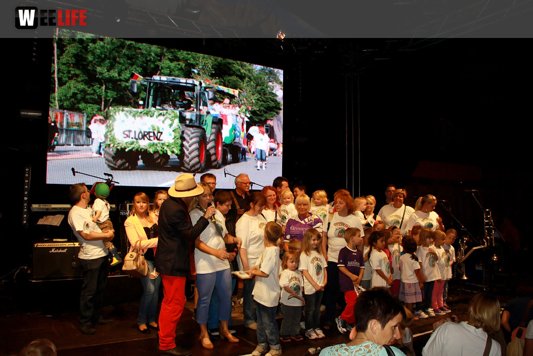 Hofer Volksfest 2014 ProHof Verleihung Umzug