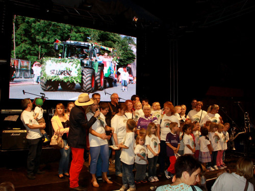 Hofer Volksfest 2014 ProHof Verleihung Umzug – Foto 58