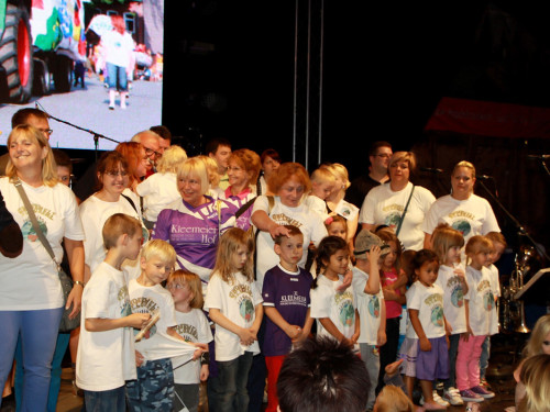 Hofer Volksfest 2014 ProHof Verleihung Umzug – Foto 60