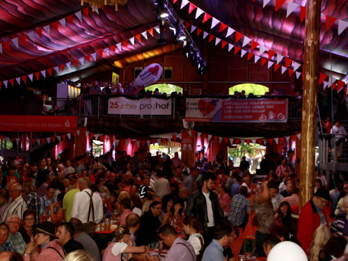 Hofer Volksfest 2014 ProHof Verleihung Umzug – Foto 72