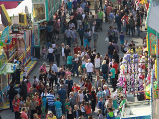Foto 96133 im Album