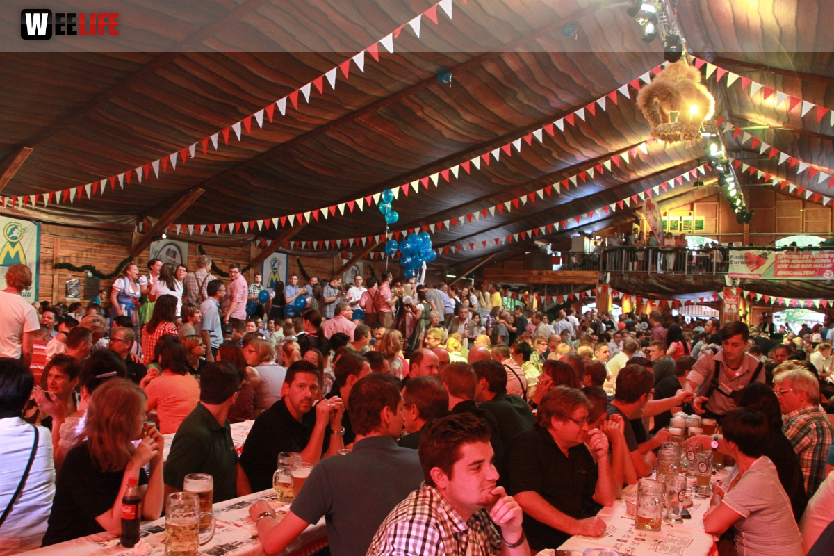 Hofer Volksfest 2014 Tag der Betriebe mit den Members