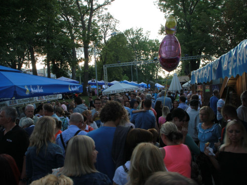 Hofer Volksfest 2014 Tag der Betriebe mit den Members – Foto 55