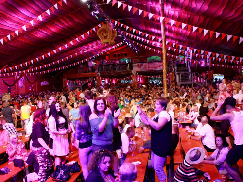 Hofer Volksfest 2014 Biba & die Butzemänner – Foto 13