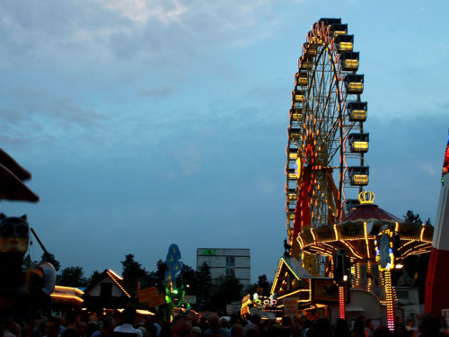 Hofer Volksfest 2014 Biba & die Butzemänner – Foto 27