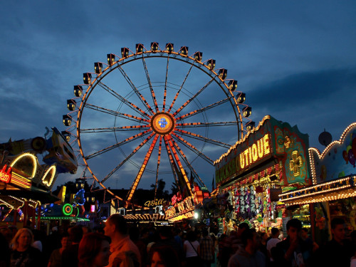 Hofer Volksfest 2014 Biba & die Butzemänner – Foto 40