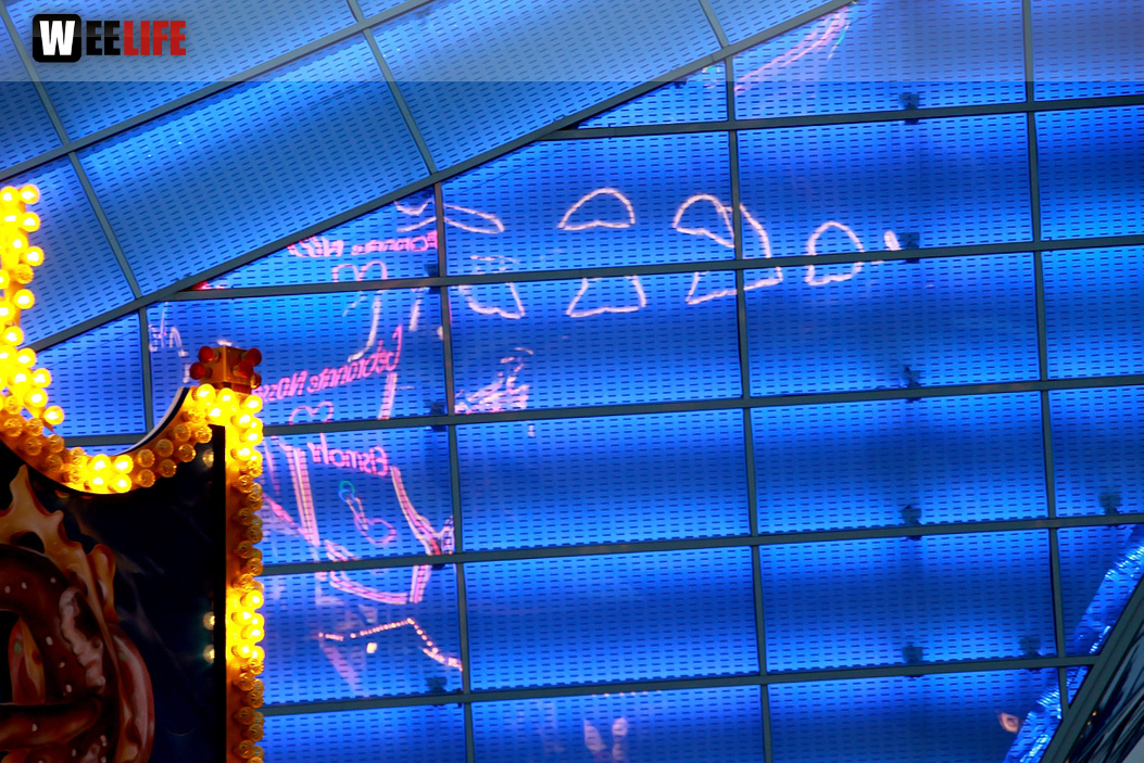 Hofer Volksfest 2014 Biba & die Butzemänner