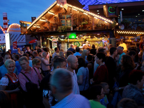 Hofer Volksfest 2014 Biba & die Butzemänner – Foto 54