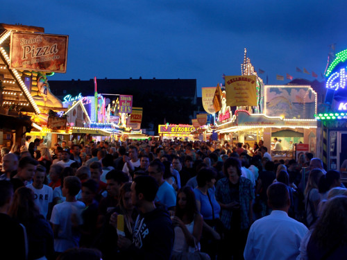 Hofer Volksfest 2014 Biba & die Butzemänner – Foto 57