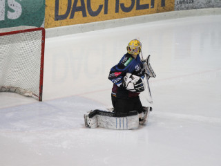 Foto 9666 im Album