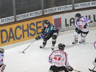 Foto 9772 im Album