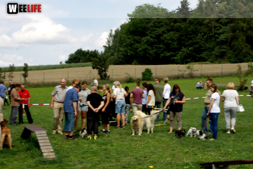 Sommerfest