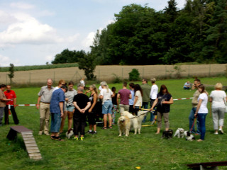 Foto 98321 im Album