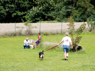 Foto 98322 im Album