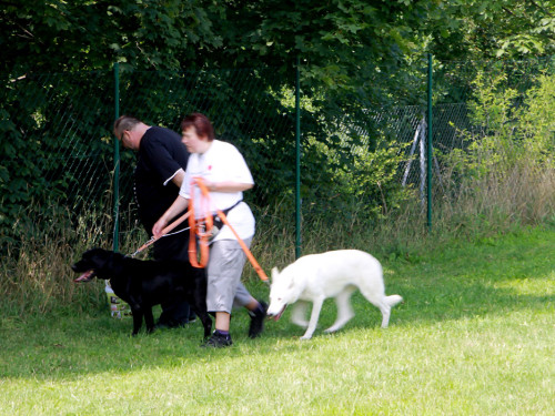 Sommerfest – Foto 5