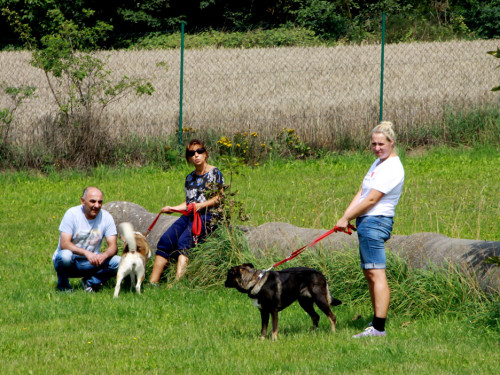Sommerfest – Foto 7