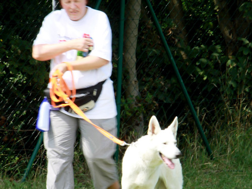 Sommerfest – Foto 8
