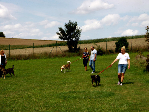 Sommerfest – Foto 10