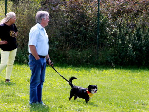 Sommerfest – Foto 11