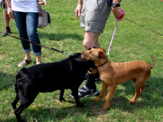 Foto 98330 im Album