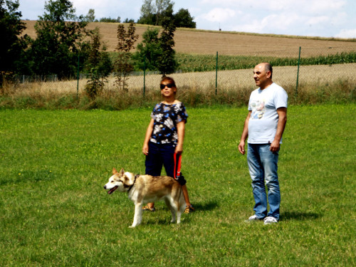 Sommerfest – Foto 13