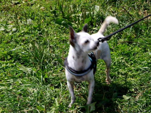 Sommerfest – Foto 14