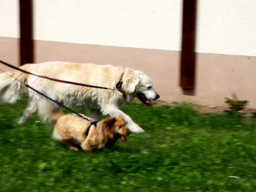 Sommerfest – Foto 20