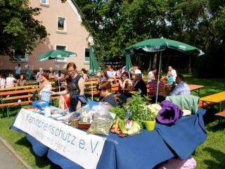 Foto 98344 im Album
