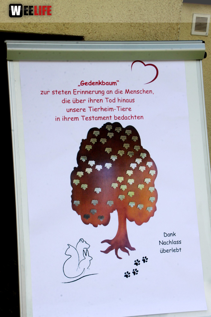 Sommerfest