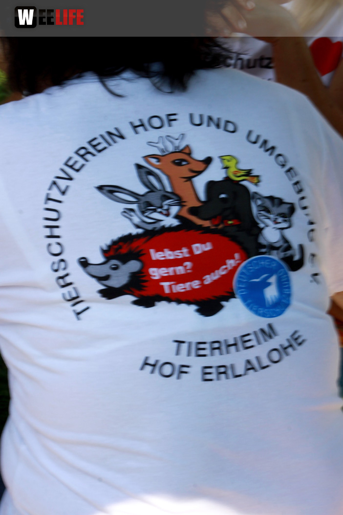 Sommerfest