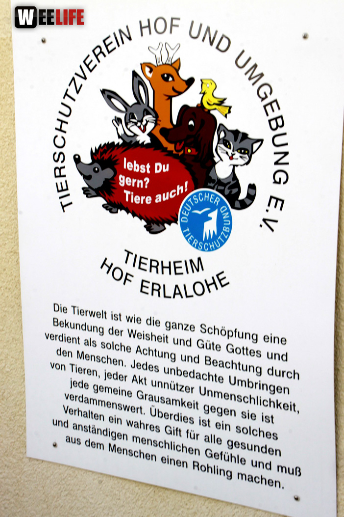 Sommerfest