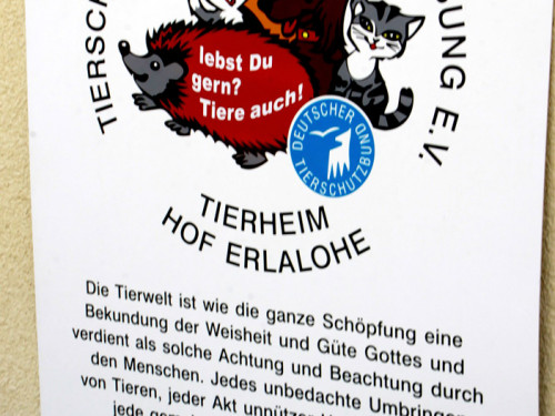 Sommerfest – Foto 69